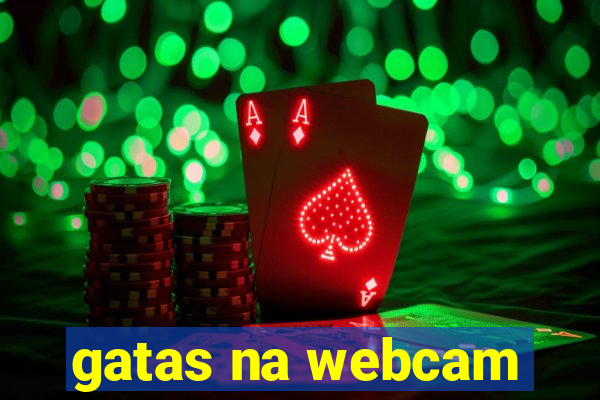 gatas na webcam